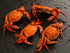 Cooked Velvet Crab ( 1 kg pack  )